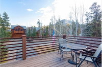 Buffalo Mountain Vista Home Accommodation Denver