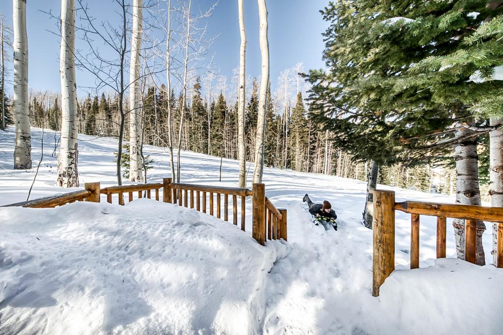 Cabin Sweet Cabin - thumb 3