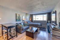 Cedar Lodge Studio Accommodation Denver