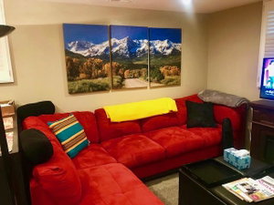 Denver Blue Bear Den 3BR 2BA Private Apartment