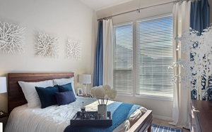Denver Five Points 30 Day Rentals
