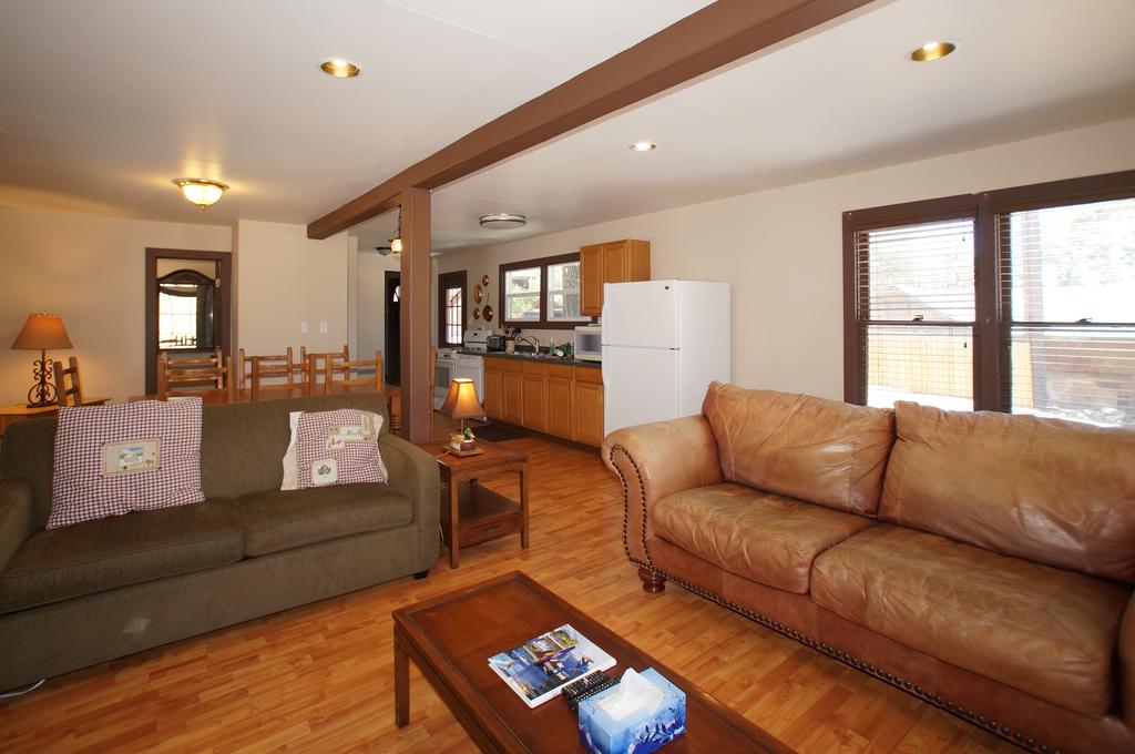 Gray Arctic Fox - thumb 2