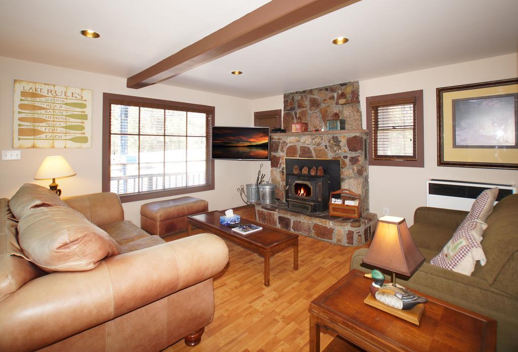 Gray Arctic Fox - thumb 1