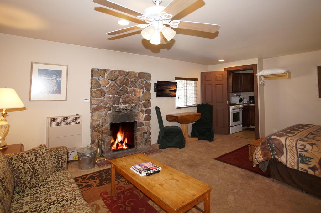 Gray Arctic Fox - thumb 3