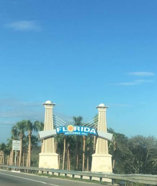 Hist Home In Avondale/Riverside & DT Jacksonville - thumb 3