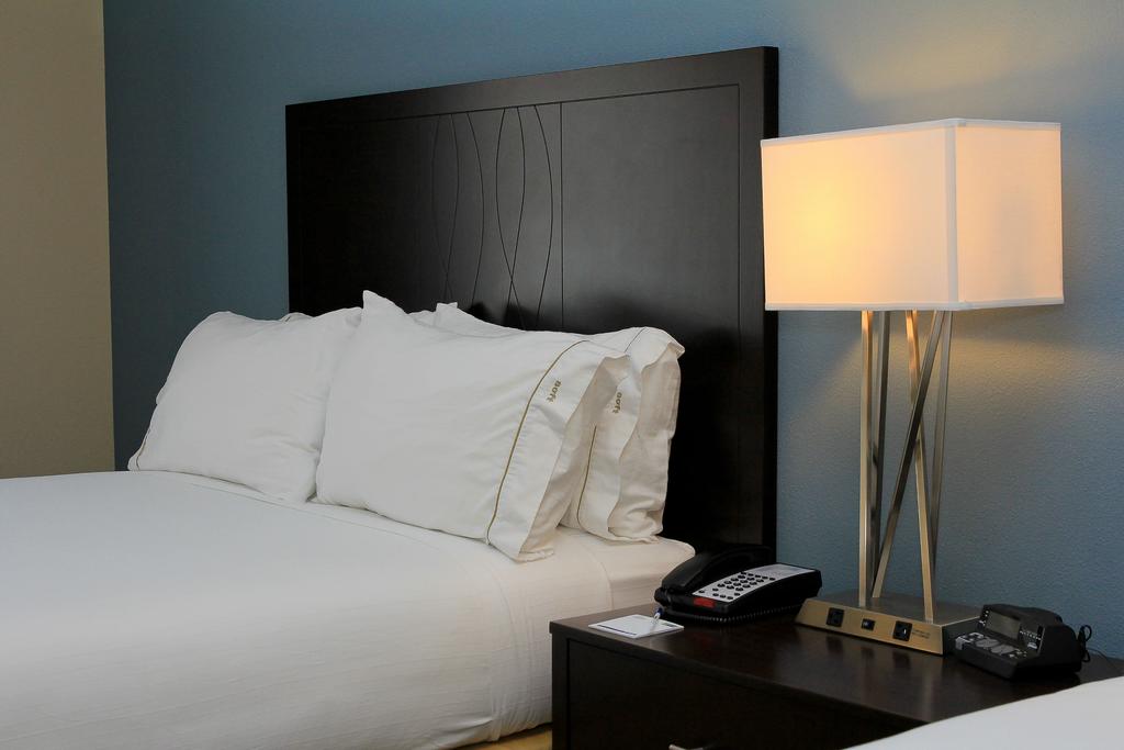 Holiday Inn Express Hotel & Suites Floresville - thumb 2