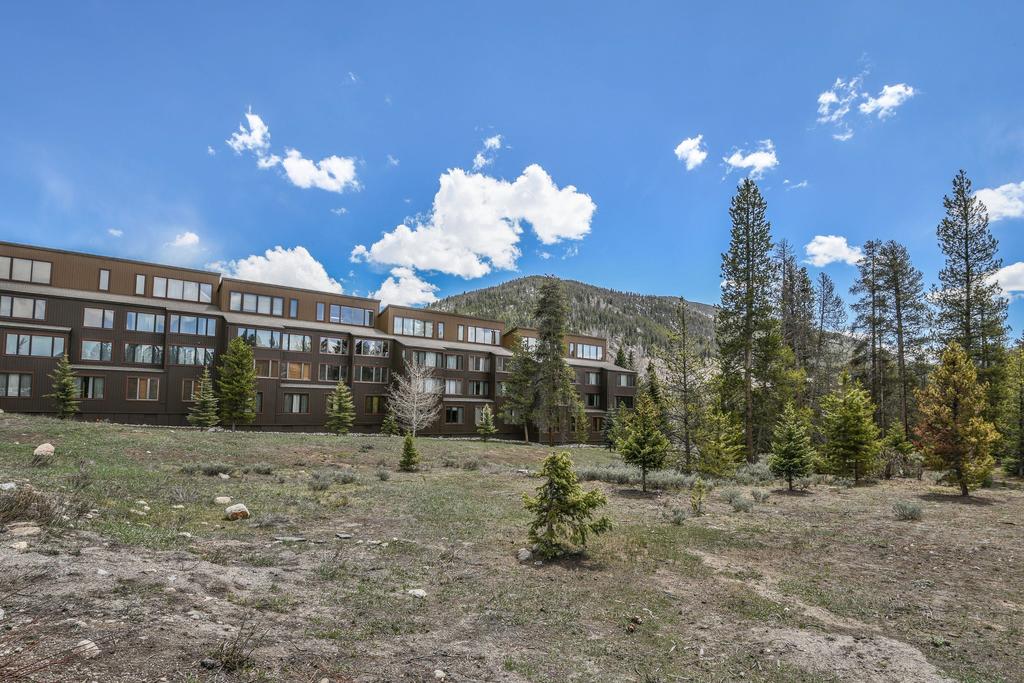 Lodgepole 2015 - thumb 2