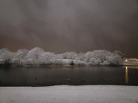 Lofthouse Accommodation Denver