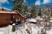 Naughty Pine Cabin Accommodation Denver