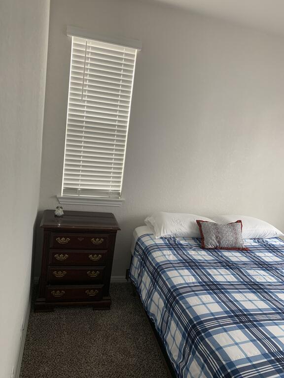 Paradise Plus - thumb 3