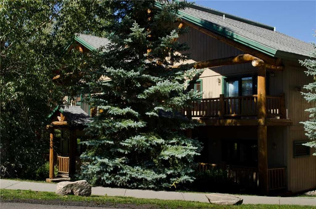 Saddle Creek SC710 - thumb 2