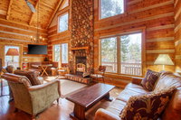 Timber Wolf Accommodation Denver