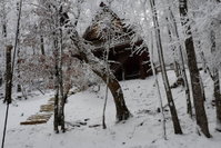 Unforgettable Dreams Accommodation Denver
