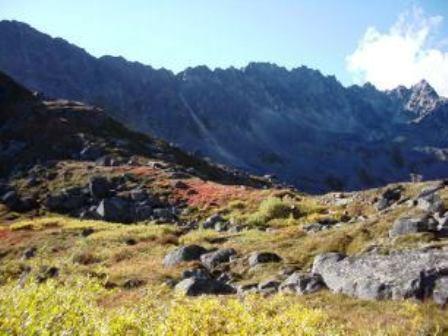 Hatcher Pass Bed & Breakfast - thumb 29