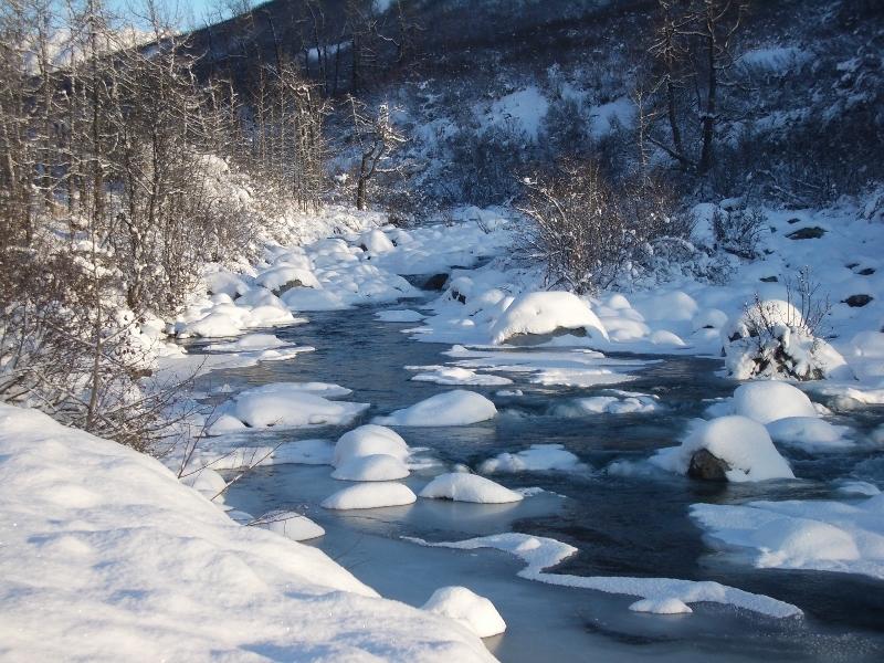 Hatcher Pass Bed & Breakfast - thumb 30