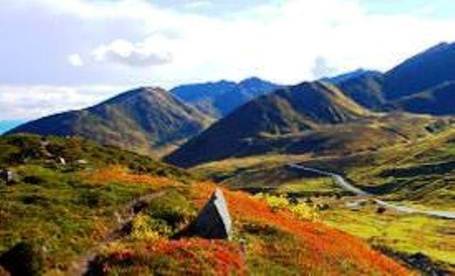 Hatcher Pass Bed & Breakfast - thumb 10