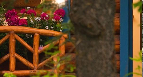 Hatcher Pass Bed & Breakfast - thumb 24