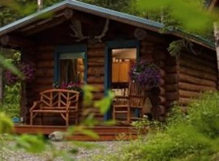 Hatcher Pass Bed & Breakfast - thumb 6