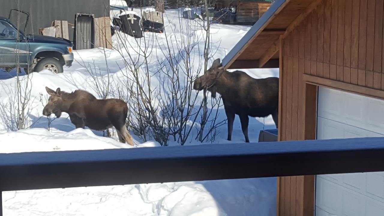 Southern Bluff Bed & Breakfast - thumb 31