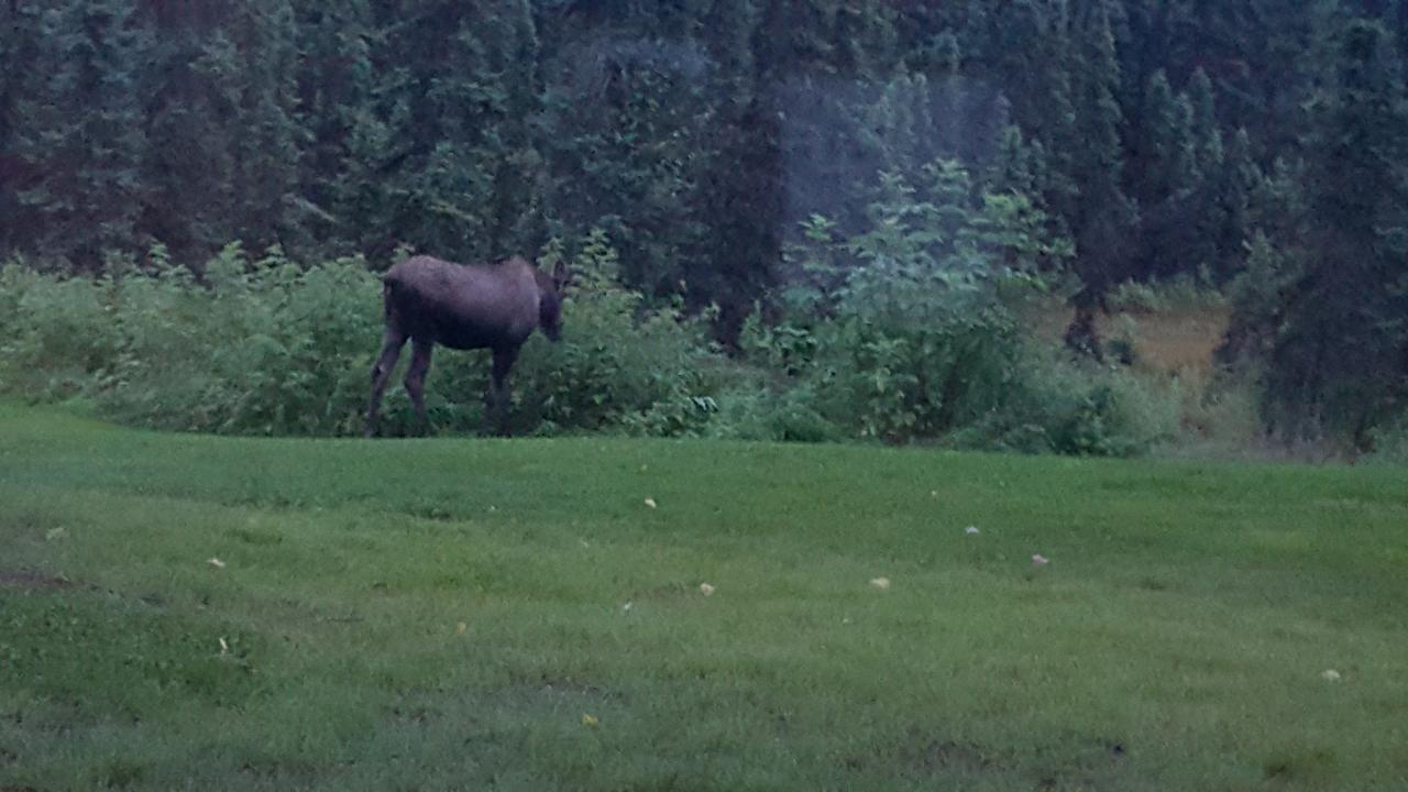 Southern Bluff Bed & Breakfast - thumb 18