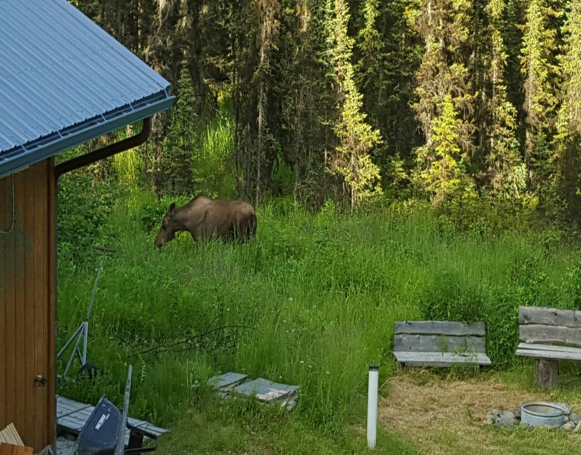 Southern Bluff Bed & Breakfast - thumb 26