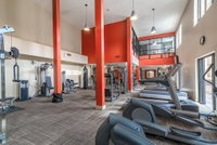 Amazing Apartments near the grove Accommodation Denver