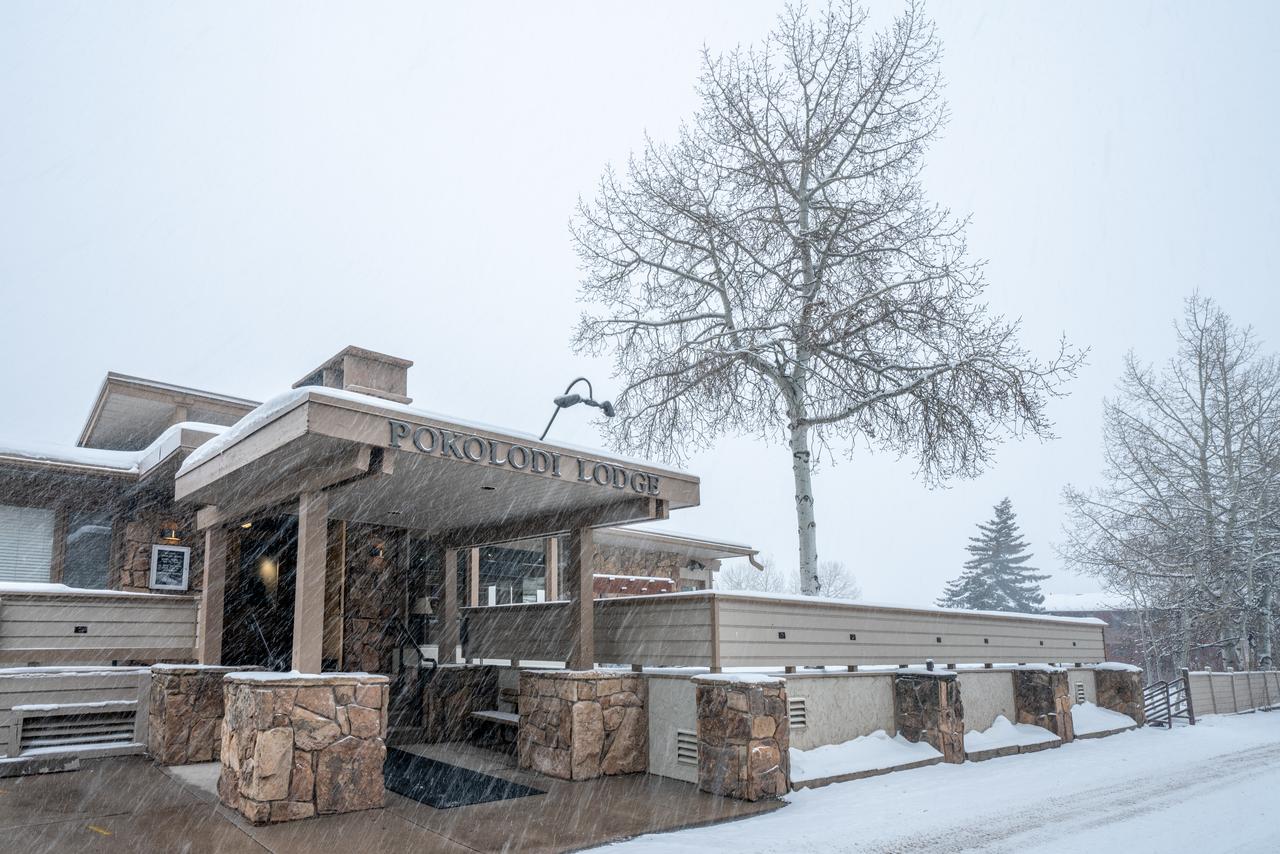 Pokolodi Lodge - thumb 5