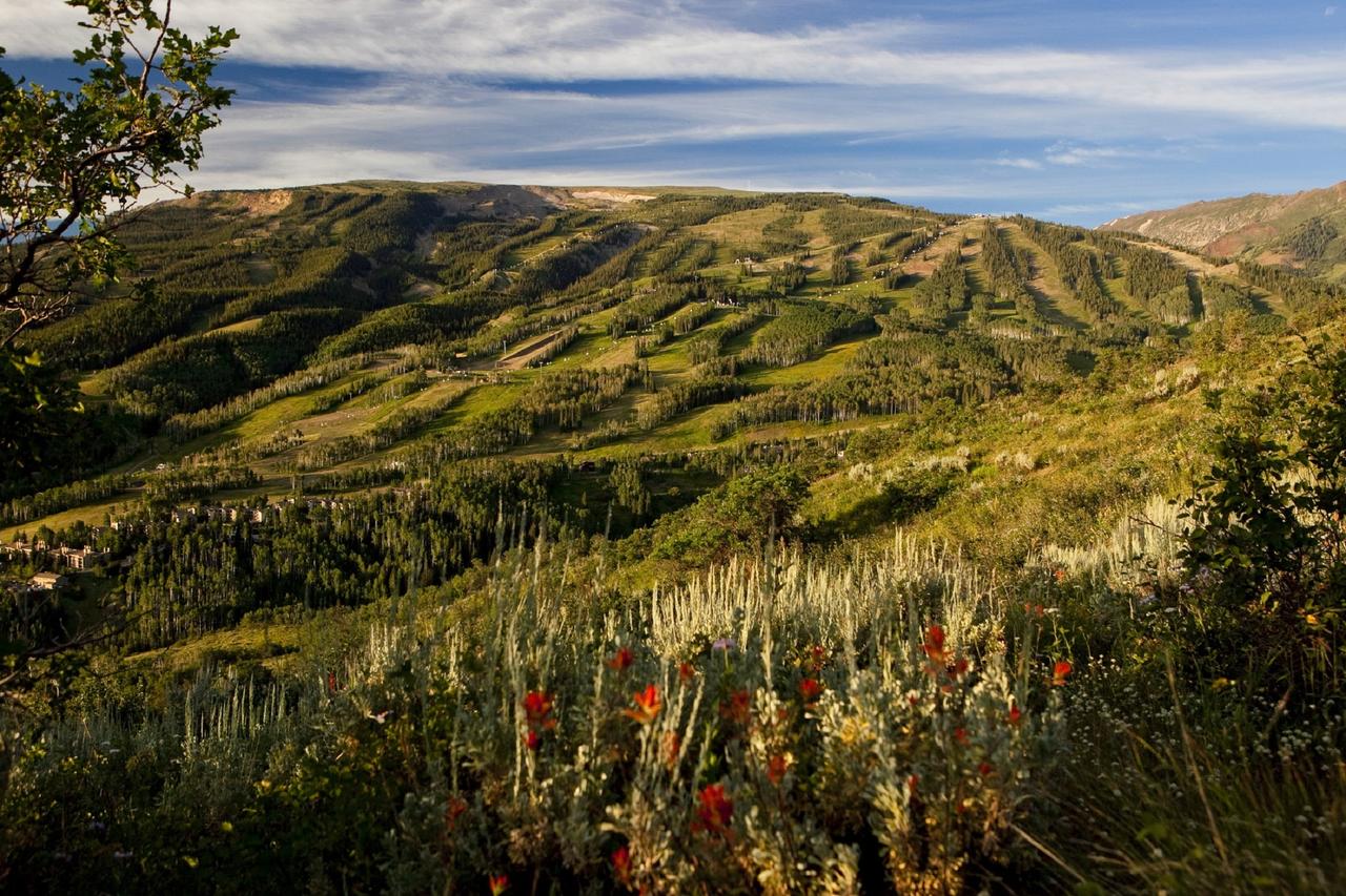 Westin Snowmass Resort - thumb 18