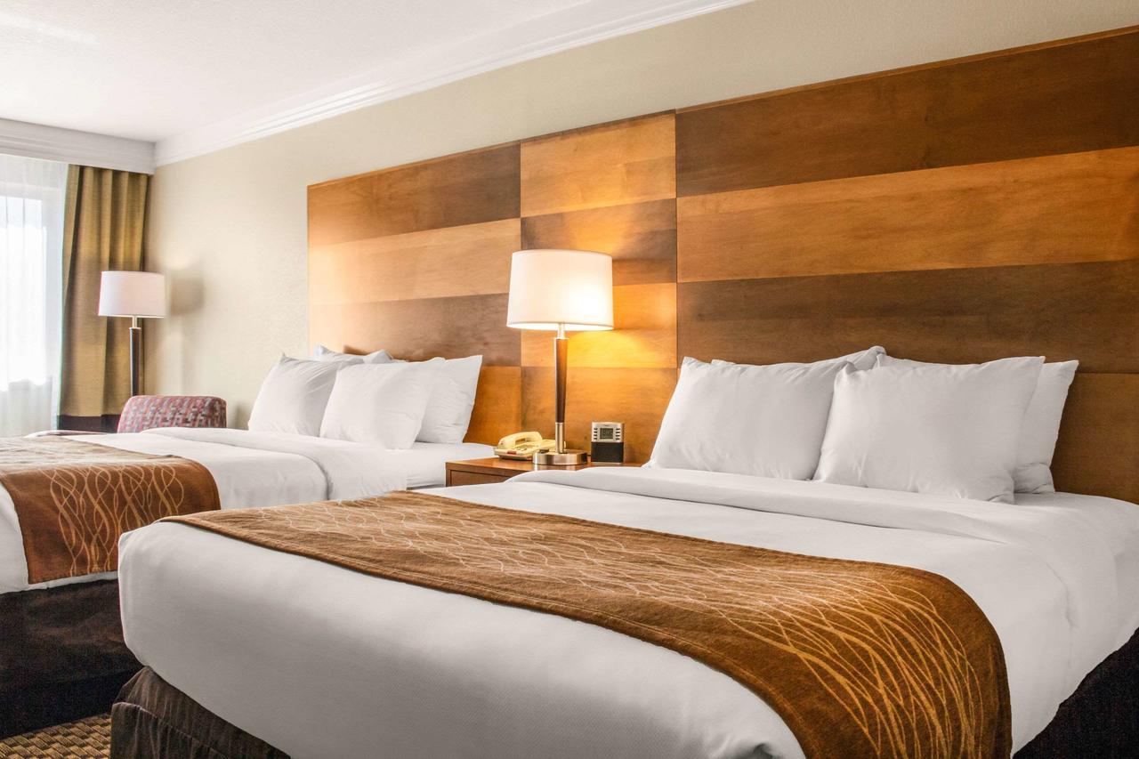 Comfort Inn & Suites Durango - thumb 4