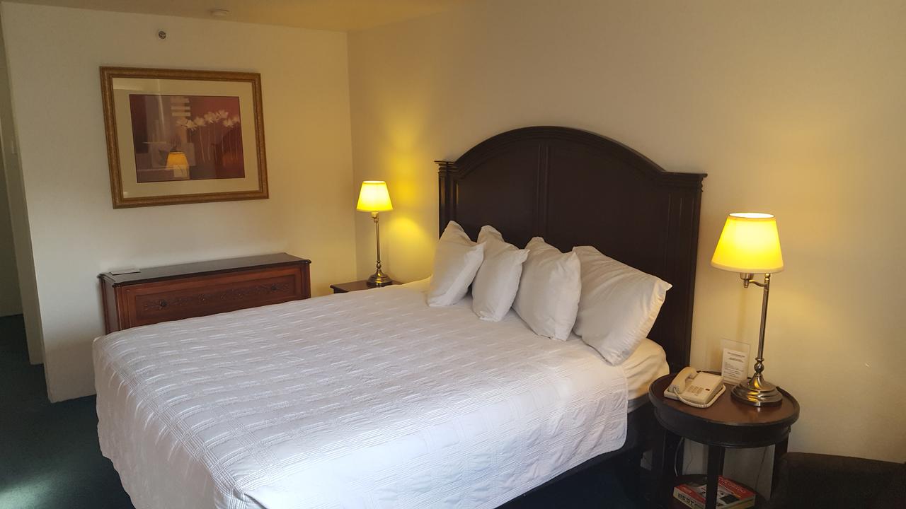 Motel Durango - thumb 13