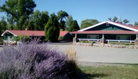 Booking Paonia Accommodation Denver