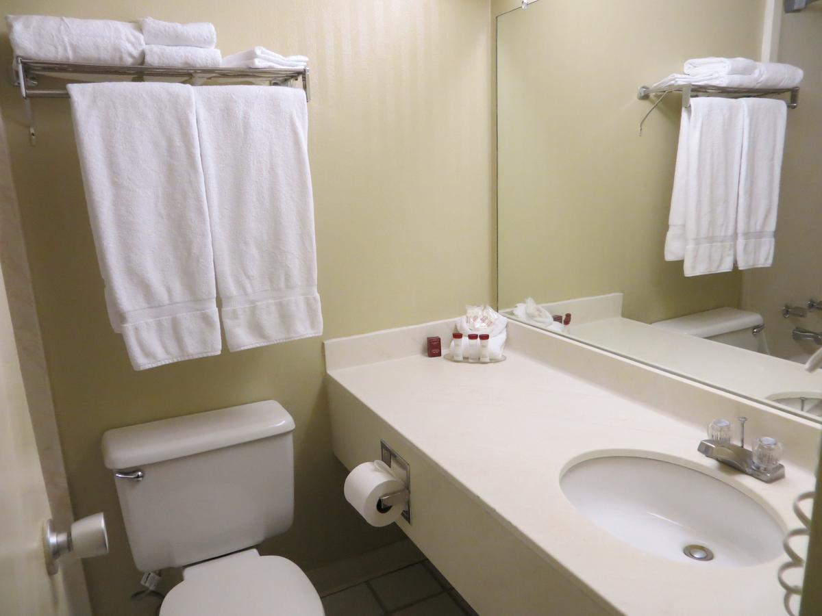 Ramada By Wyndham Denver Downtown - thumb 7