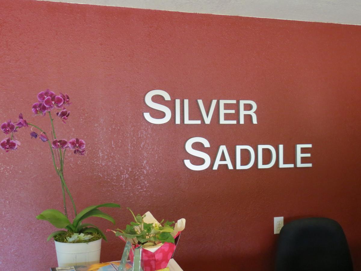 Silver Saddle Motel - thumb 31