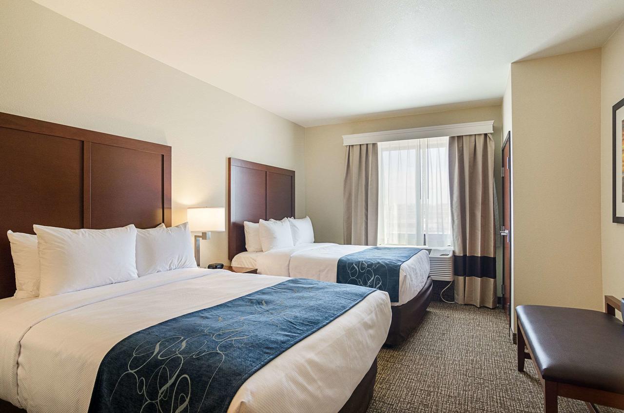 Comfort Suites Near Denver Downtown - thumb 37