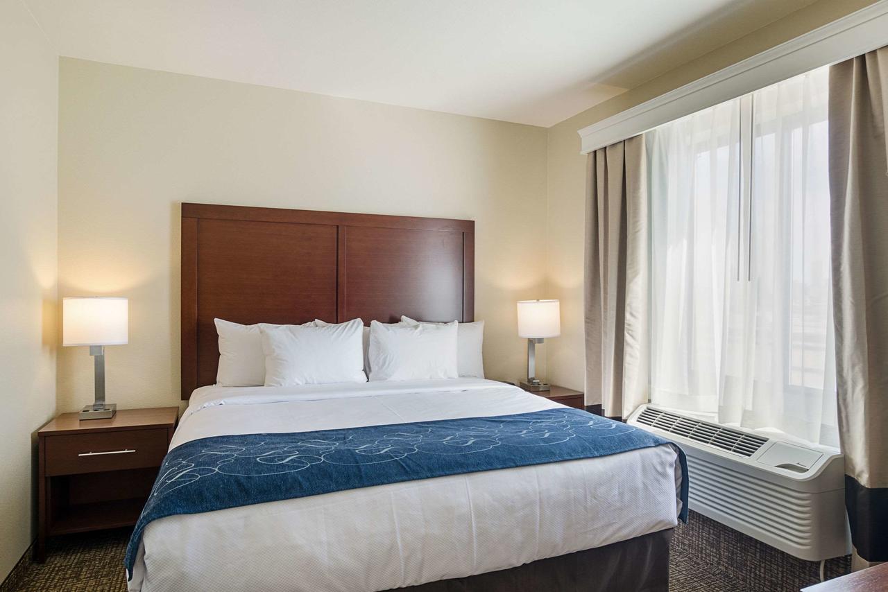 Comfort Suites Near Denver Downtown - thumb 33