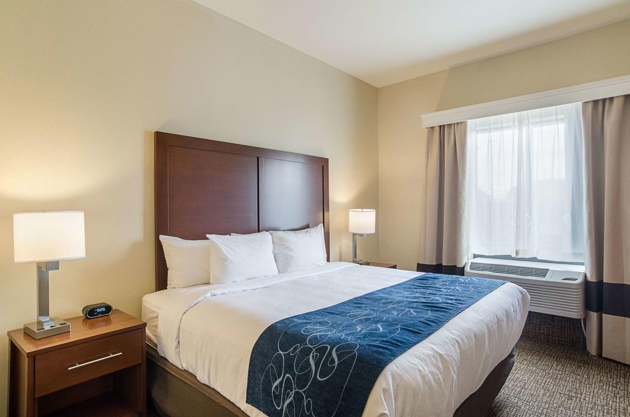 Comfort Suites Near Denver Downtown - thumb 39