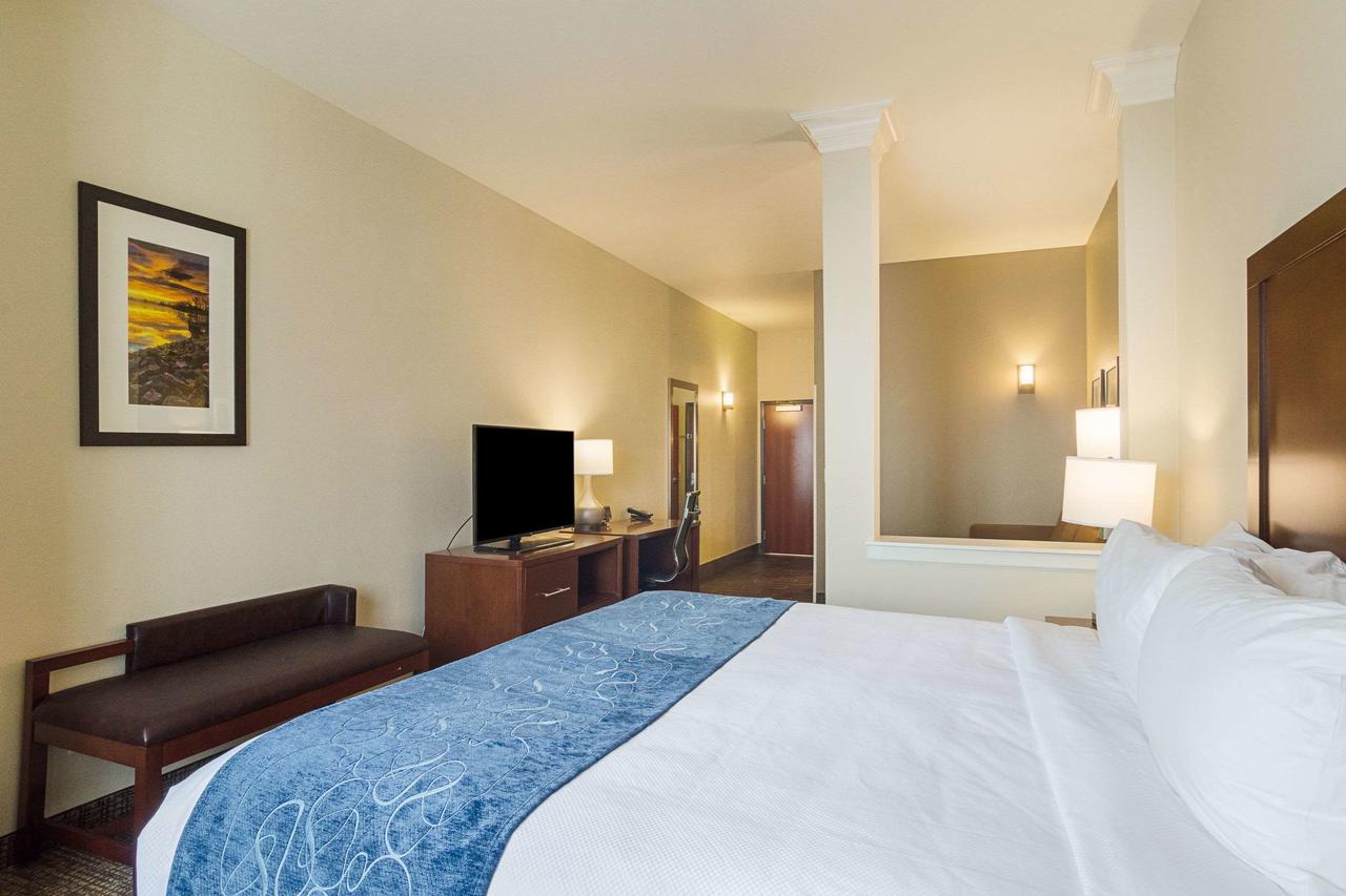 Comfort Suites Near Denver Downtown - thumb 35