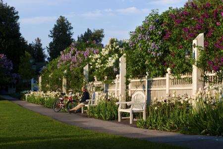 Grand Hotel - thumb 2