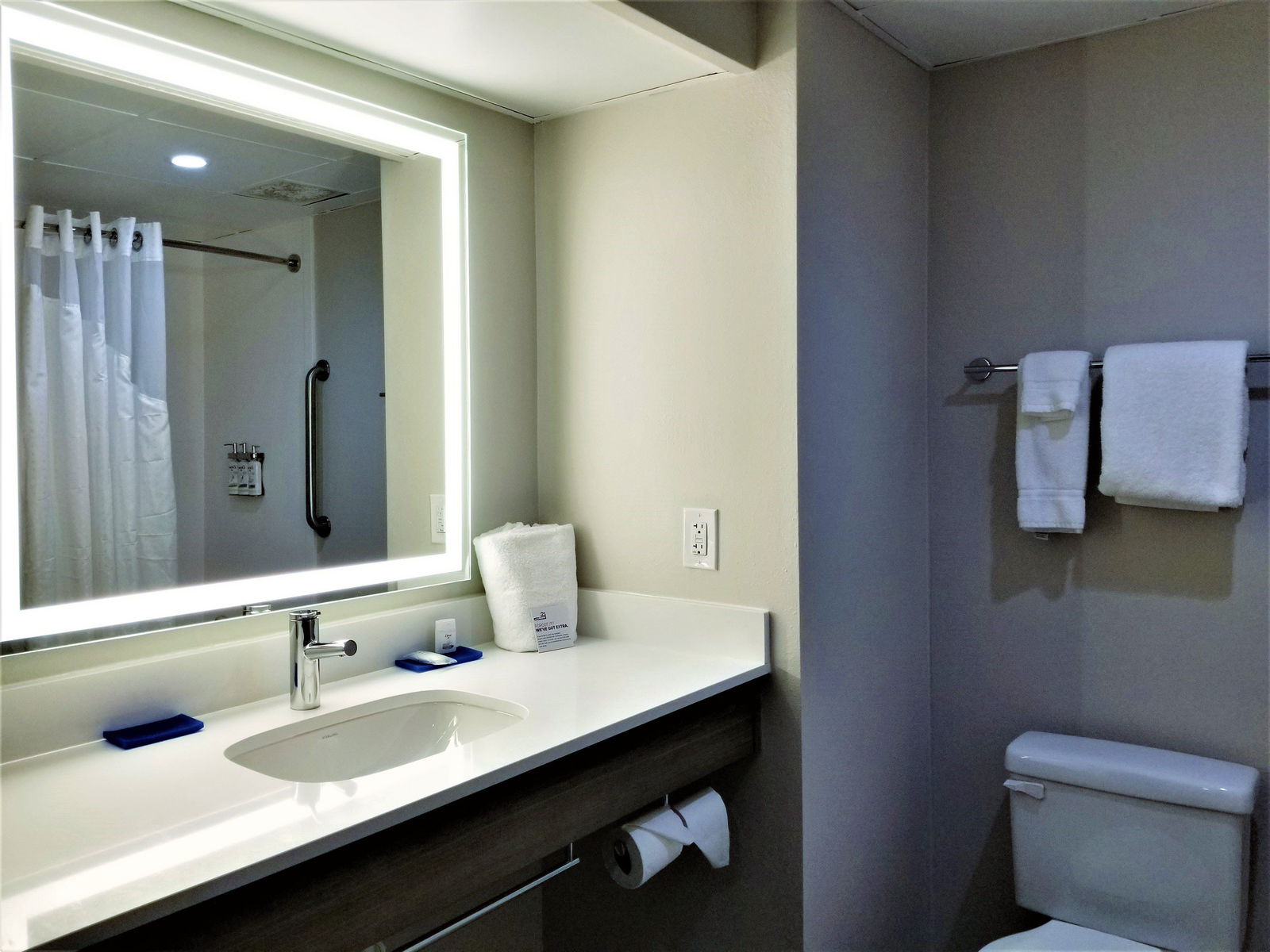 Holiday Inn Express Apex - thumb 6