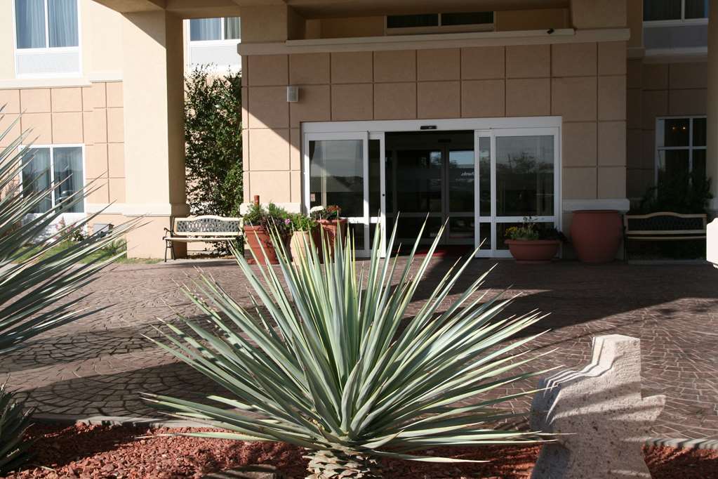 Hampton Inn Alpine - thumb 2