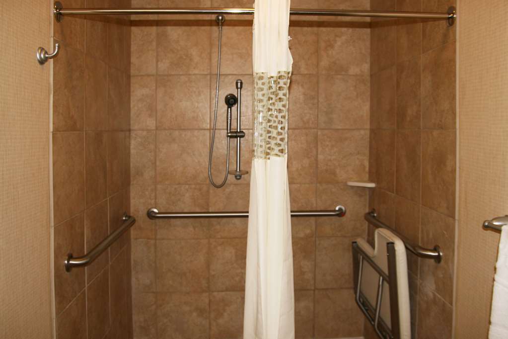 Hampton Inn Alpine - thumb 6