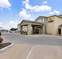Comfort Inn  Suites - Accommodation Denver