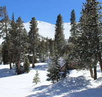 Mammoth Mountain Chalets - Accommodation Denver