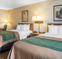 Quality Inn Lone Pine - Accommodation Denver
