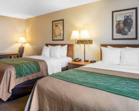 Lone Pine Ca Accommodation Denver