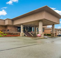 Comfort Inn  Suites - Accommodation Denver
