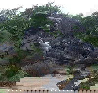 Create Your Own Dallas and Fort Worth Combination Tour - Accommodation Denver