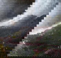 Niagara Falls Best of Both American/Canadian Tour - Accommodation Denver