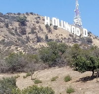 Half Day Hollywood and Beverly Hills Tour - Accommodation Denver