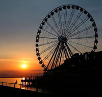 City Sightseeing Seattle Hop-On Hop-Off Bus Tour - Accommodation Denver